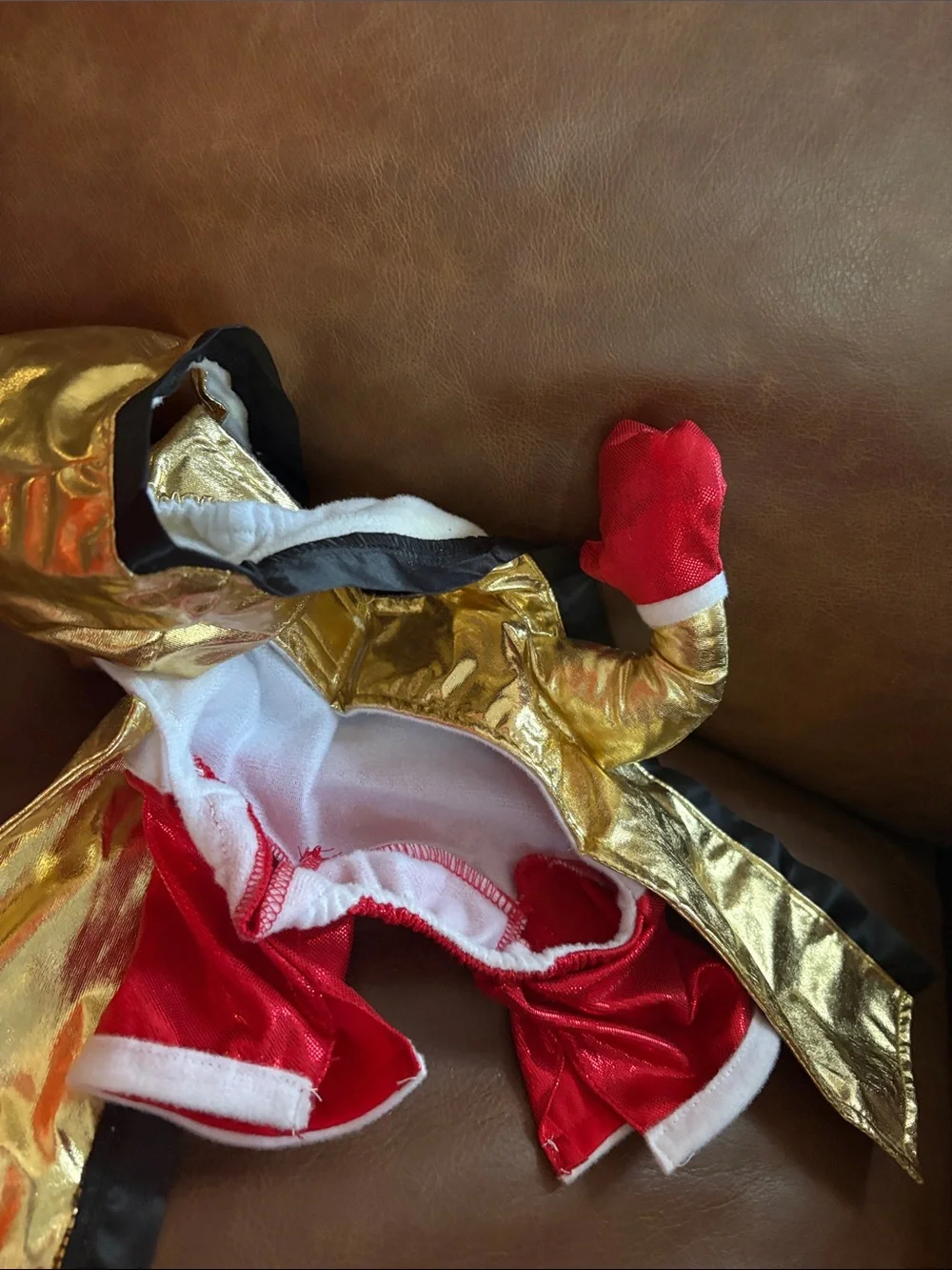 Boxing Champ Frontal dog S Halloween costume